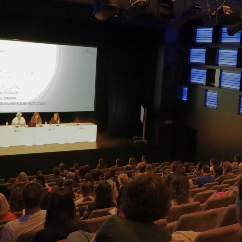 Jornades XIV - Un silenci que fa massa soroll: Violències Sexuals entre infants i/o adolescents